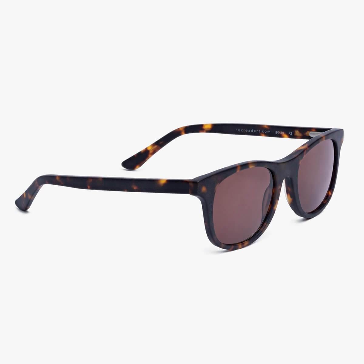 malmo-dark-turtle_sunglasses_image-2.jpg?v=1770909848&width=1200
