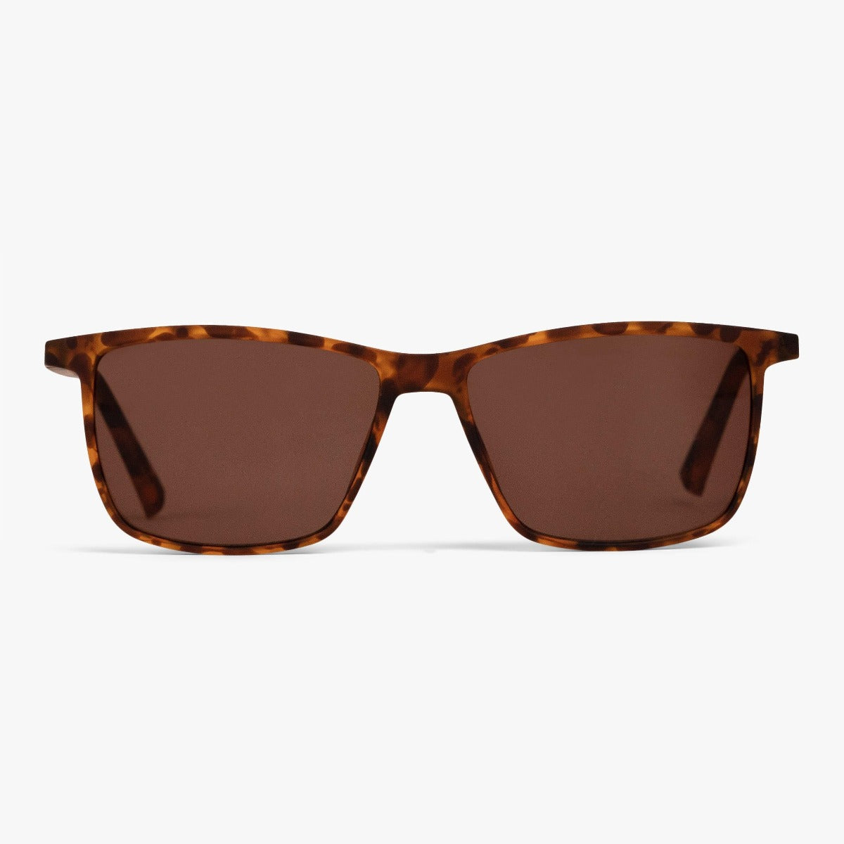 Men's København Turtle sunglasses in tortoiseshell with brown lenses