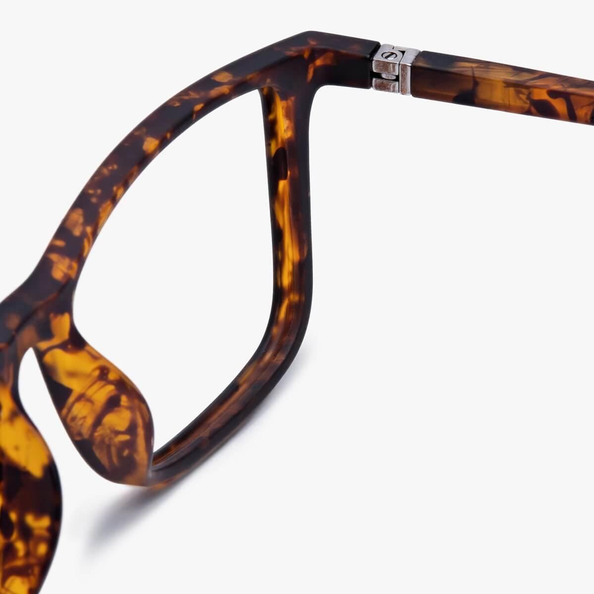 Close-up of brown tortoise shell eyeglasses frame